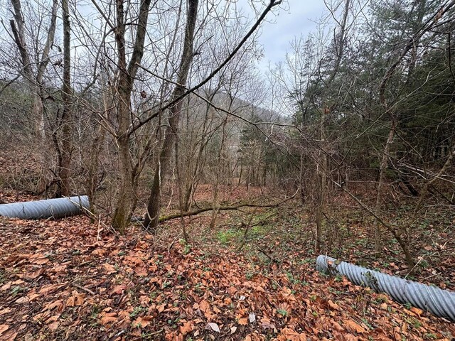 196 Goodwin Rd, Cedar Bluff, VA 24609 - view of tree filled area