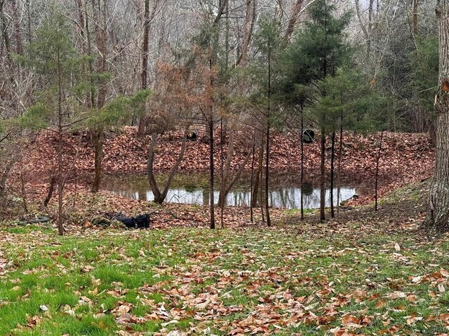 196 Goodwin Rd, Cedar Bluff, VA 24609 - water view