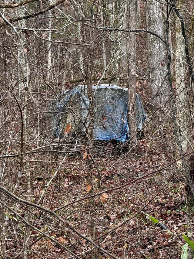 196 Goodwin Rd, Cedar Bluff, VA 24609 - view of local wilderness