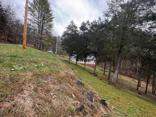 196 Goodwin Rd, Cedar Bluff, VA 24609 - view of yard