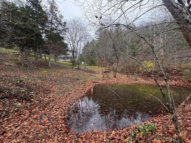 196 Goodwin Rd, Cedar Bluff, VA 24609 - view of nature