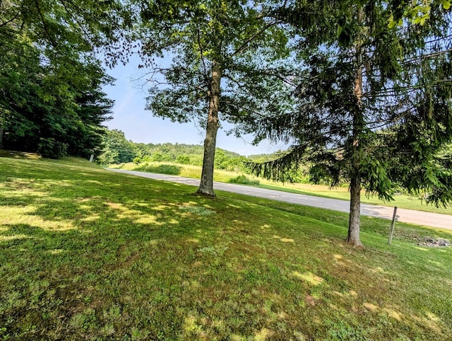 1518 Penn Rd, Floyd, VA 24091 - photo 2