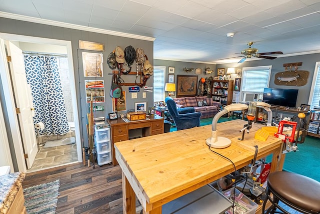 503 Court St, Abingdon, VA 24210 - dining space with crown molding, dark wood-style flooring, and a ceiling fan