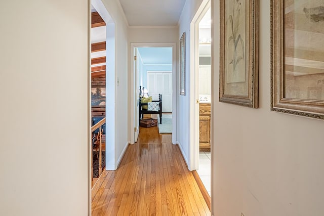 503 Court St, Abingdon, VA 24210 - hall with light wood finished floors, an upstairs landing, and ornamental molding