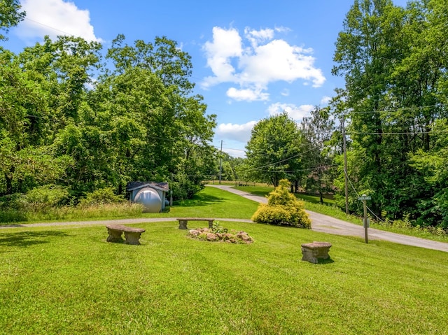 575 Apache Trl, Fancy Gap, VA 24328 - view of property's community featuring a lawn and a shed