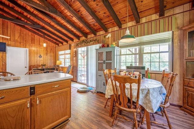 575 Apache Trl, Fancy Gap, VA 24328 - kitchen with wood ceiling, wooden walls, wood finished floors, healthy amount of natural light, and hanging light fixtures