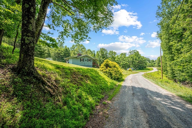 575 Apache Trl, Fancy Gap, VA 24328 - view of dirt / gravel road