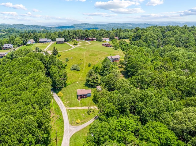 575 Apache Trl, Fancy Gap, VA 24328 - aerial view of a forest