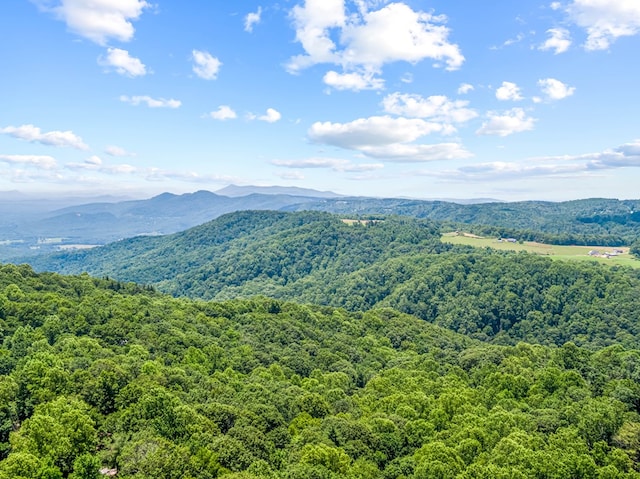 575 Apache Trl, Fancy Gap, VA 24328 - view of mountain background featuring a heavily wooded area