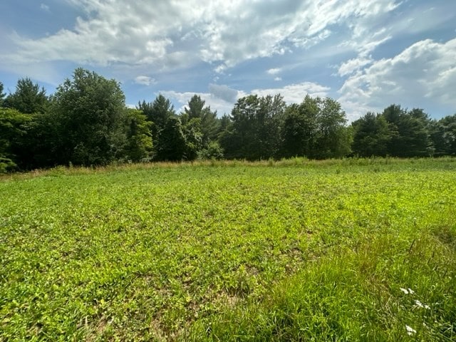 view of nature with a rural view