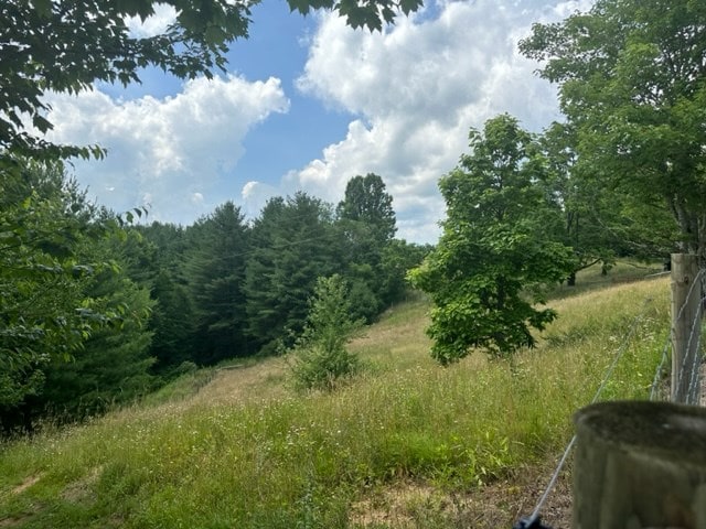 view of local wilderness