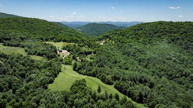 drone / aerial view featuring a mountain view and a wooded view