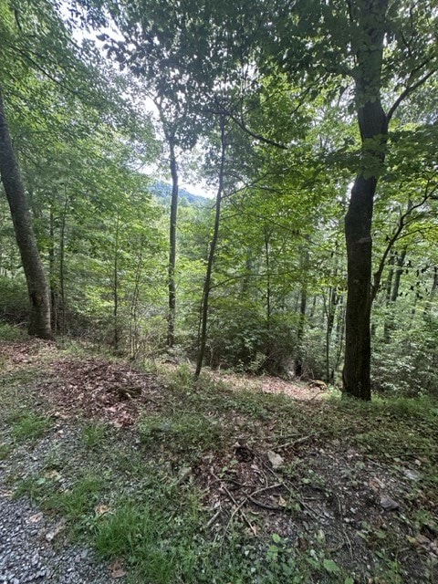 view of local wilderness featuring a wooded view