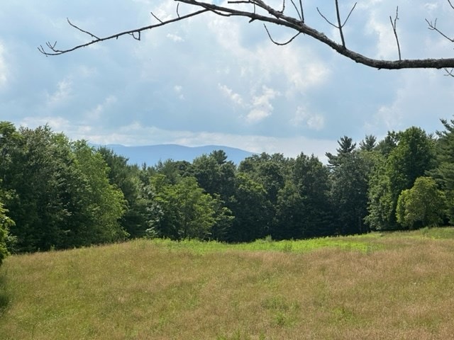 view of nature featuring a view of trees