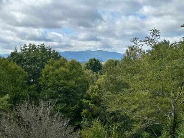 property view of mountains with a wooded view