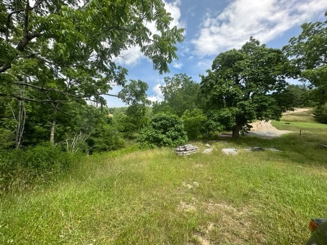 view of local wilderness