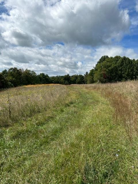 view of nature with a rural view