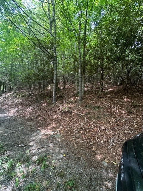 view of nature featuring a view of trees