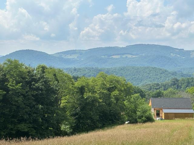 view of mountain feature featuring a wooded view