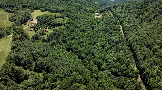 bird's eye view featuring a view of trees