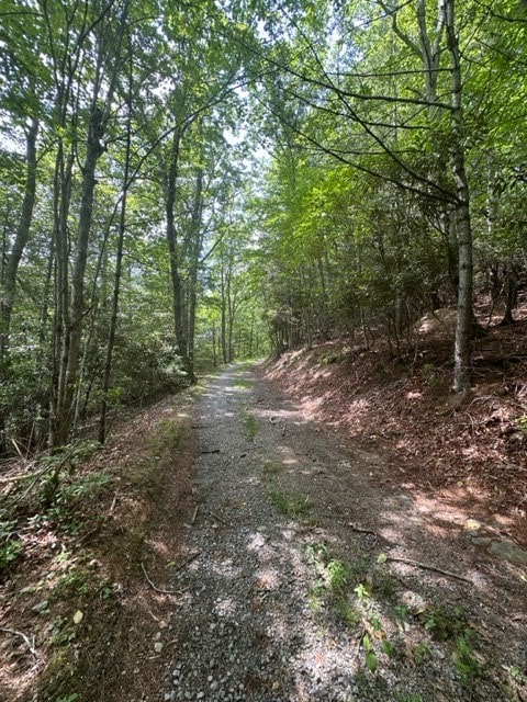 view of street with a wooded view