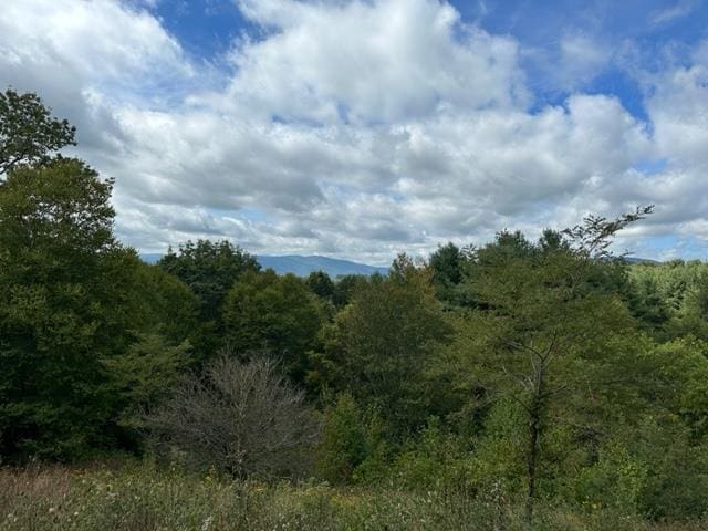 view of landscape featuring a wooded view