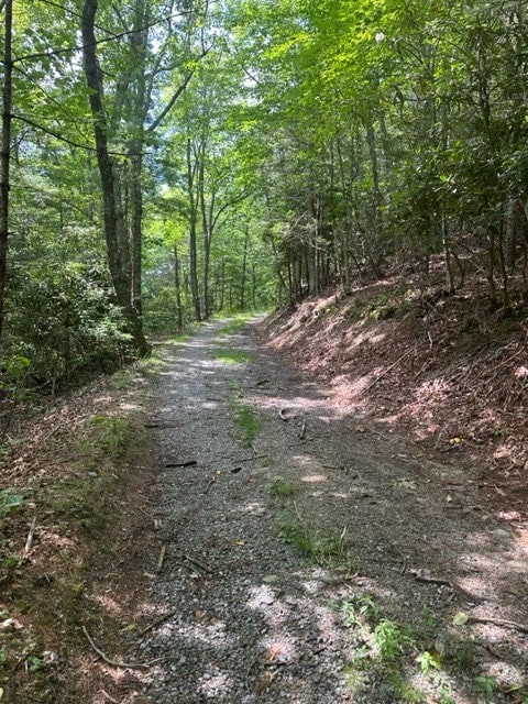 view of road with a wooded view