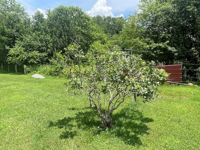 545 Barton Ln Unit 63B, Sugar Grove, VA 24375 - photo 15