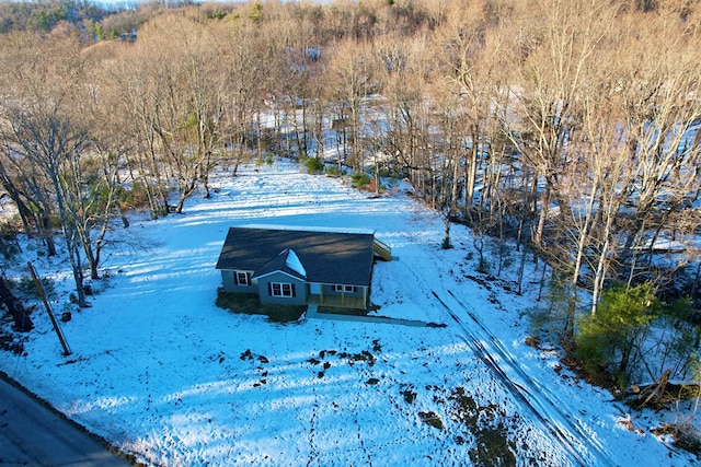 view of snowy aerial view