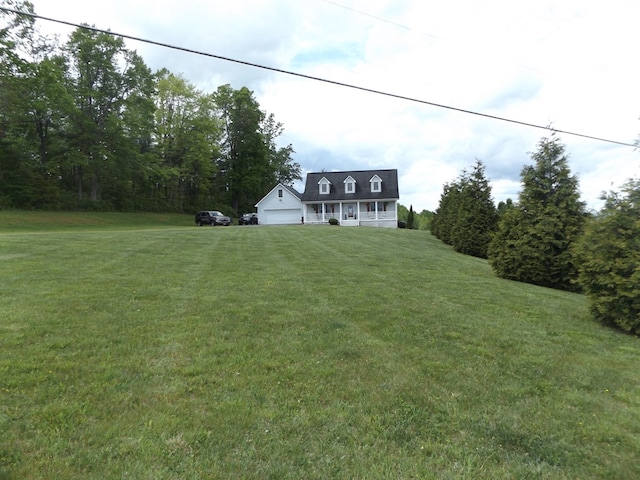 566 Breezy Ridge Rd, Woodlawn, VA 24381 - new england style home with a front yard