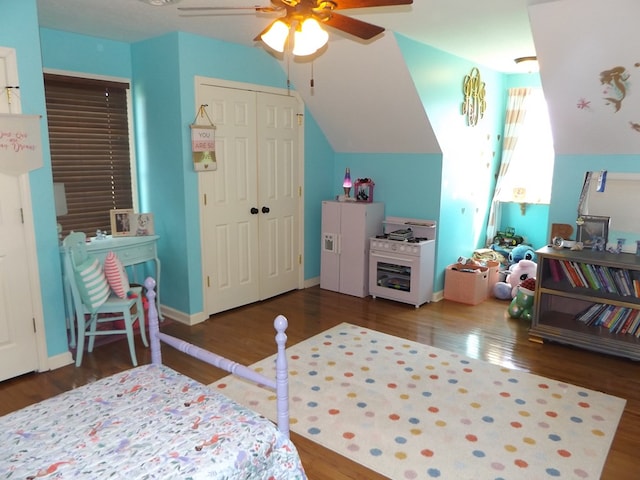 566 Breezy Ridge Rd, Woodlawn, VA 24381 - bedroom featuring wood finished floors, lofted ceiling, ceiling fan, and a closet