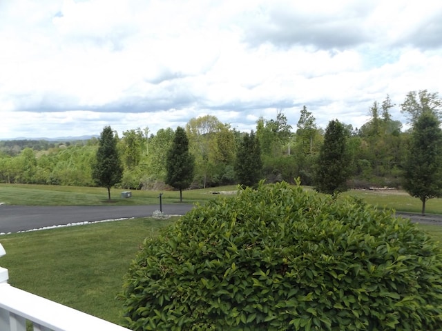 566 Breezy Ridge Rd, Woodlawn, VA 24381 - surrounding community featuring a lawn