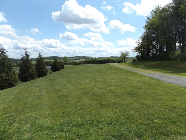 566 Breezy Ridge Rd, Woodlawn, VA 24381 - view of green lawn
