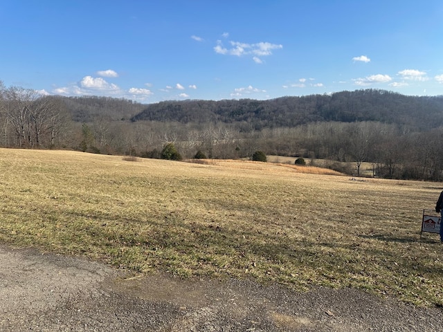 Listing photo 3 for TBD Reedy Rd Unit 0, Raven VA 24639