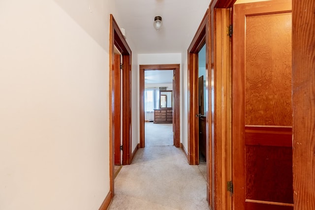 480 N 3rd St, Wytheville, VA 24382 - hallway with light colored carpet and baseboards