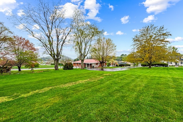 480 N 3rd St, Wytheville, VA 24382 - view of grassy yard