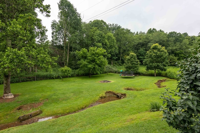 1038 Cedar Springs Rd, Sugar Grove, VA 24375 - photo 60