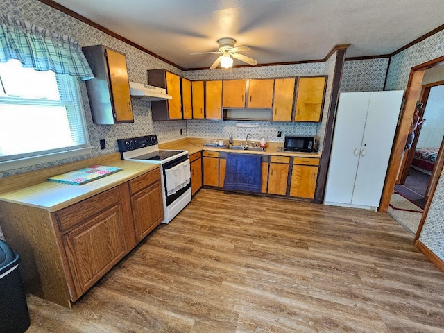 3437 Low Gap Rd, Troutdale, VA 24378 - photo 5
