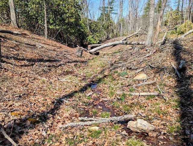 285 Dye Dr, Pilot, VA 24138 - view of undeveloped land