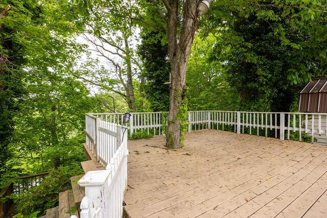 125 Stone Meadow Ln, Wytheville, VA 24382 - photo 43
