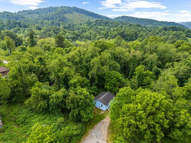 112 Garrett St, Galax, VA 24333 - photo 31