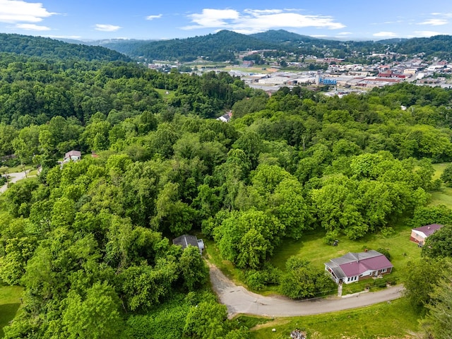 112 Garrett St, Galax, VA 24333 - photo 34