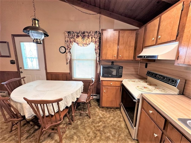 542 Volunteer Rd, Fancy Gap, VA 24328 - kitchen featuring under cabinet range hood, white electric range oven, black microwave, vaulted ceiling, and light countertops