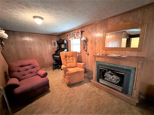 542 Volunteer Rd, Fancy Gap, VA 24328 - carpeted living area with wood walls, a glass covered fireplace, and a textured ceiling