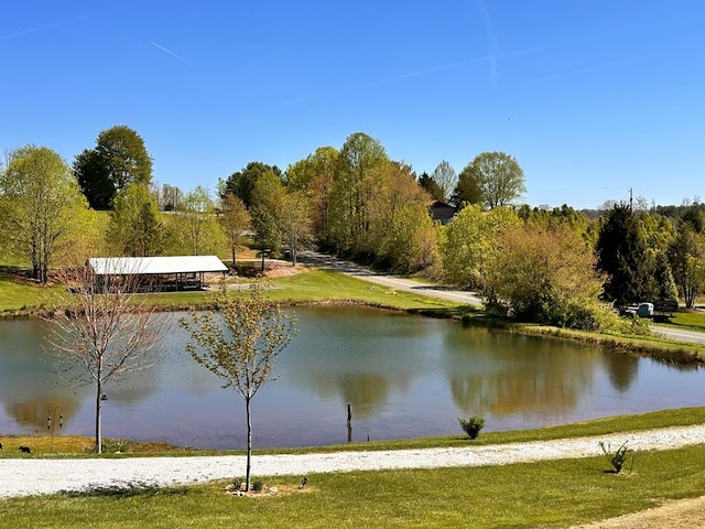 542 Volunteer Rd, Fancy Gap, VA 24328 - water view