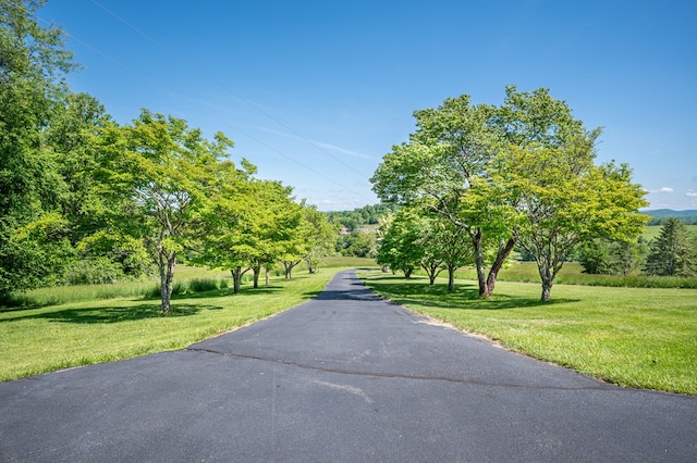 8214 Snake Creek Rd, Hillsville, VA 24343 - view of road