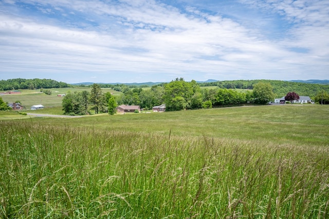 8214 Snake Creek Rd, Hillsville, VA 24343 - view of local wilderness with rural landscape