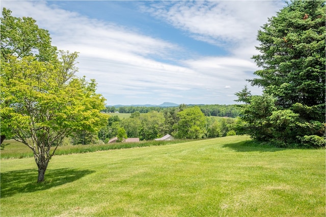 8214 Snake Creek Rd, Hillsville, VA 24343 - view of grassy yard