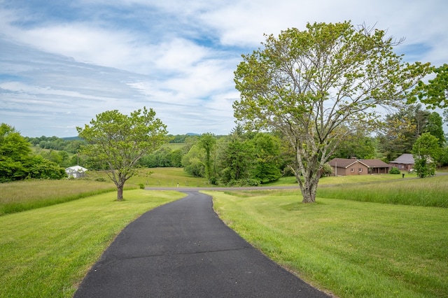 8214 Snake Creek Rd, Hillsville, VA 24343 - view of home's community with a yard