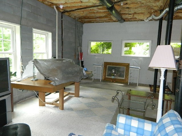1407 Prater Ln, Marion, VA 24354 - photo 59
